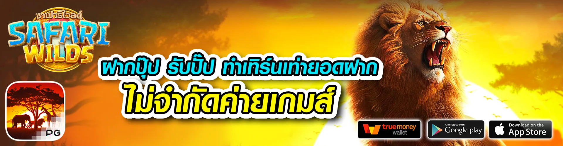 สล็อตแตกง่าย ทรูวอลเล็ต